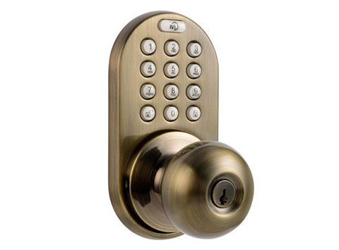 Electronic Door Knob