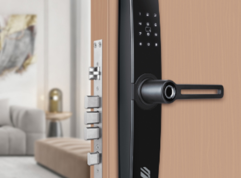 Electronic Mortise Locks