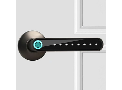 fingerprint Door lock