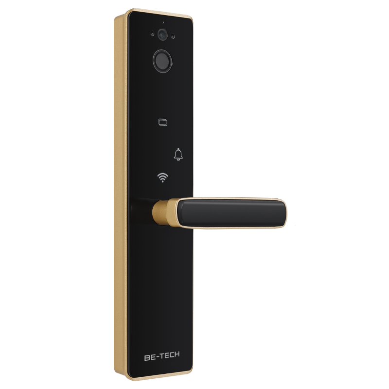 k61 fmtwg door lock no deadbolt champagne gold