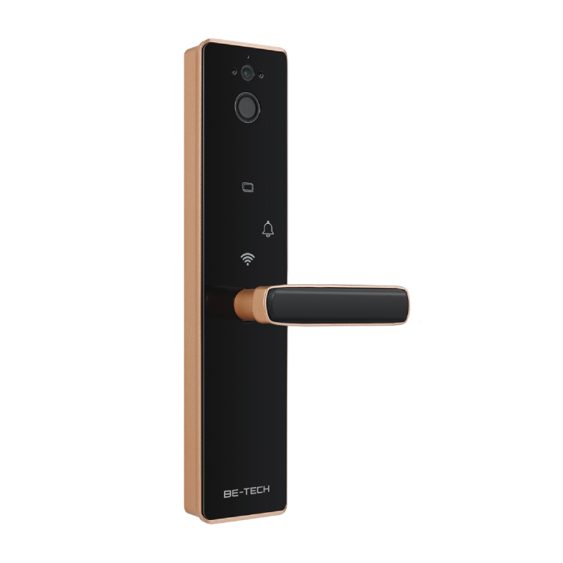 k61 fmtwg door lock no latch champagne gold